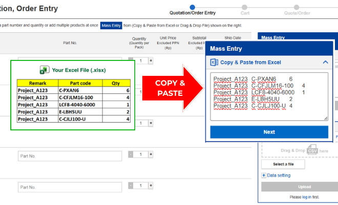 Mass Entry_Copy_Paste Excel_1